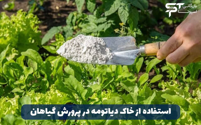 استفاده از خاک دیاتومه در پرورش گیاهان