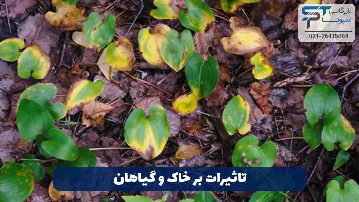 تاثیرات بر خاک و گیاهان - بازرگانی اسپوتا