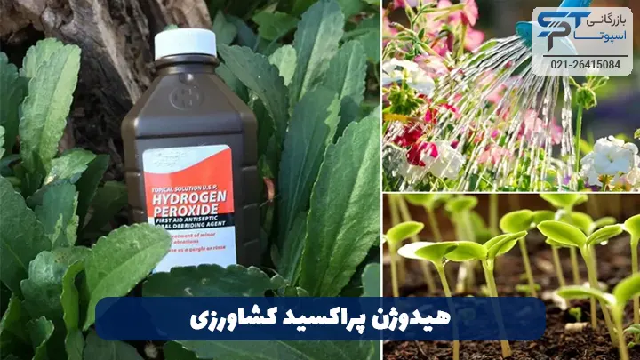 هیدروژن پراکسید در کشاورزی - بازرگانی اسپوتا