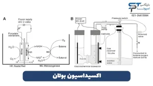 روش تهیه اسید استیک 3 اکسیداسیون بوتان (مسیر مبتنی بر هیدروکربن) - بازرگانی اسپوتا
