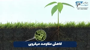 هیدروژن پراکسید در کشاورزی 5 کاهش مقاومت میکروبی - بازرگانی اسپوتا