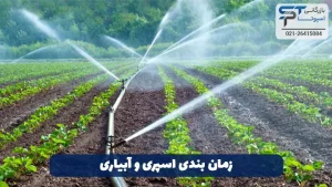 هیدروژن پراکسید در کشاورزی 6 زمان بندی اسپری و آبیاری - بازرگانی اسپوتا