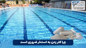 نحوه استفاده از پودر کلر برای ضدعفونی 5 چرا کلر زدن به استخر ضروری است؟ - بازرگانی اسپوتا