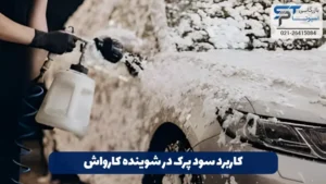 کاربرد سود پرک در کارواش 6 کاربرد سود پرک در شوینده کارواش
